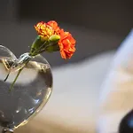 Bed and breakfast Bb 22 Palace