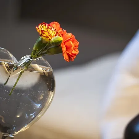 Bed & Breakfast Bb 22 Palace