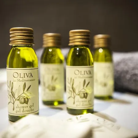 Bb 22 Palace לינה וארוחת בוקר 4*